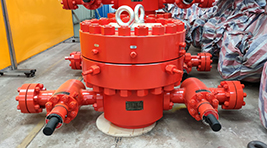 Casing Head